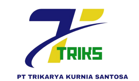 TRIKS Logo
